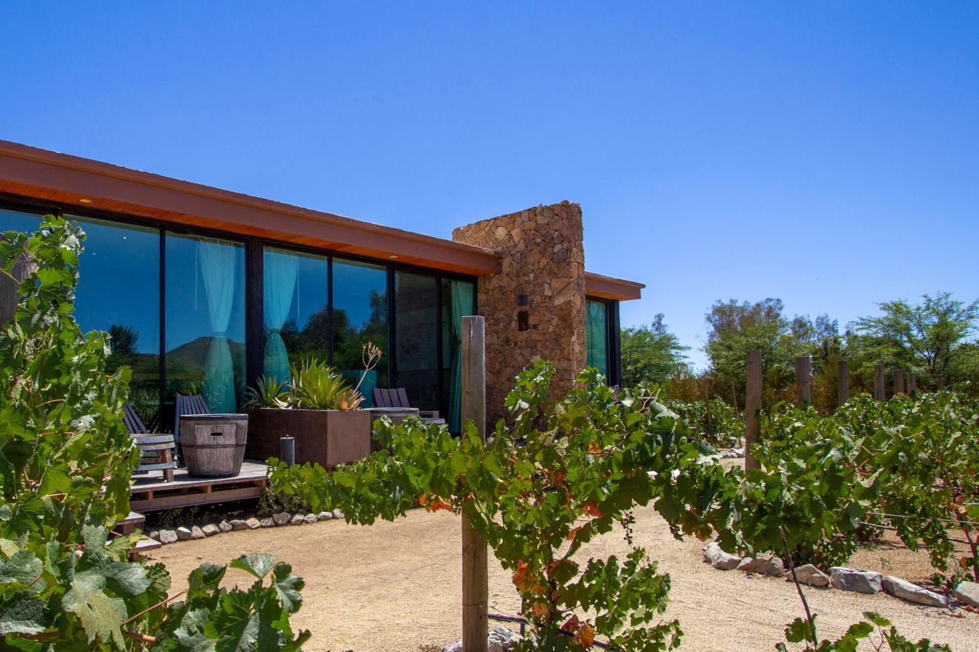 Hotel Boutique Valle De Guadalupe & Spa Rum bild