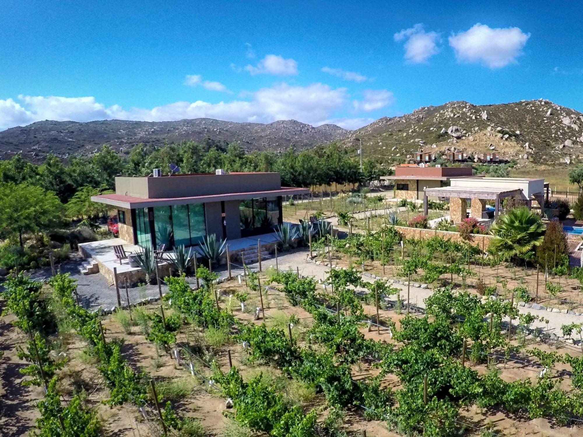 Hotel Boutique Valle De Guadalupe & Spa Rum bild