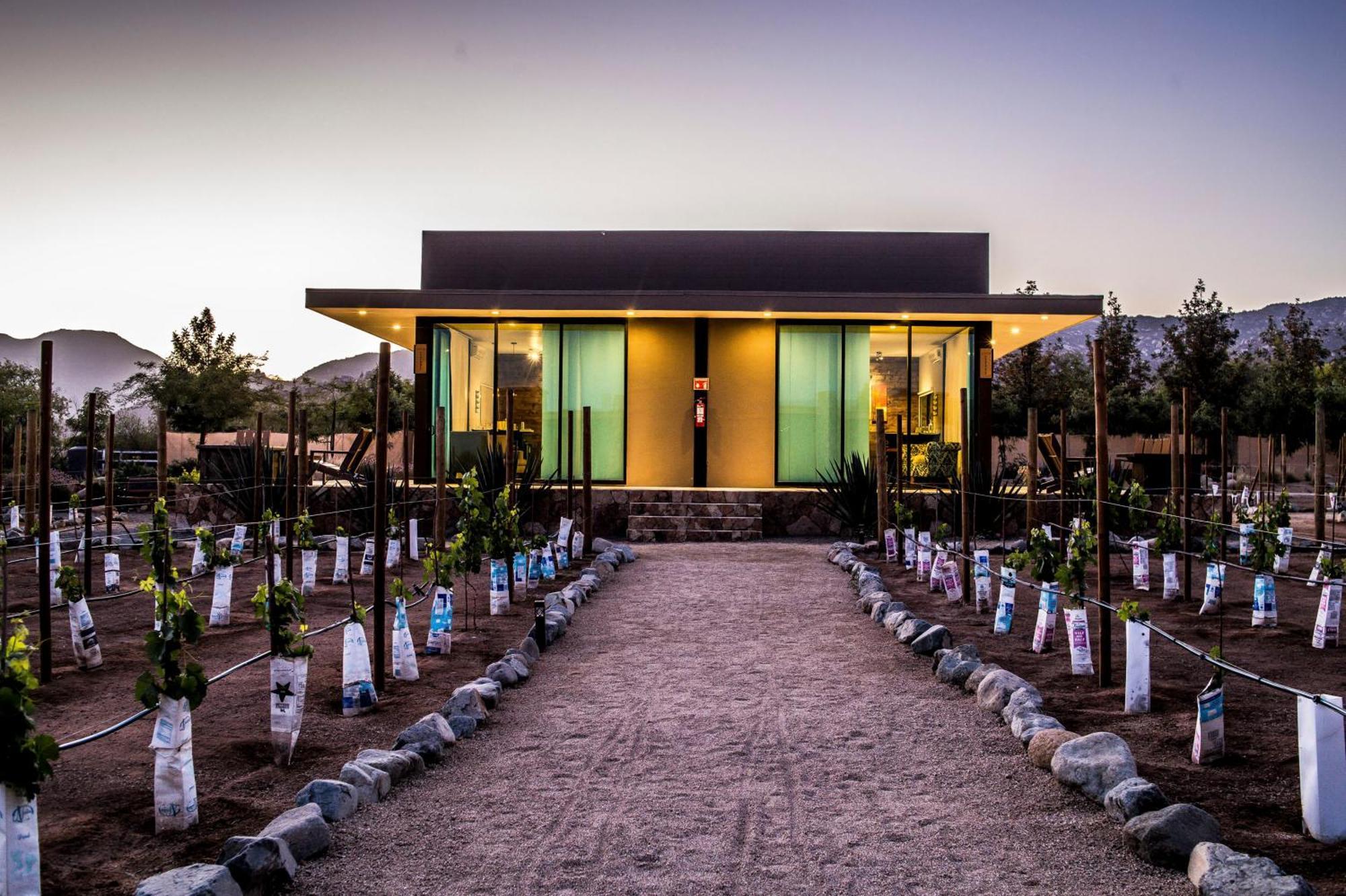Hotel Boutique Valle De Guadalupe & Spa Rum bild